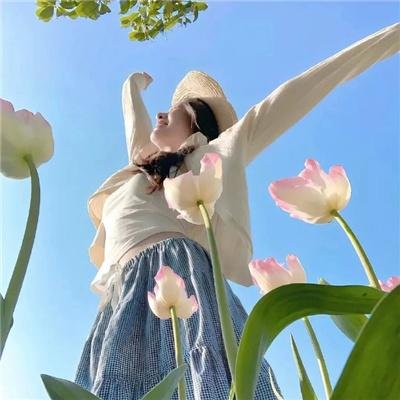 廉政行动2004粤语